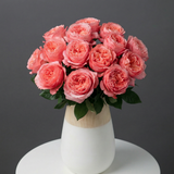 Rosaholics PEONY BEAUTY, view 4