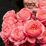 Rosaholics PEONY BEAUTY, view 6