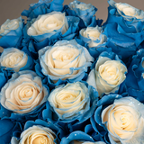Rosaholics CELESTIAL DEW, view 5