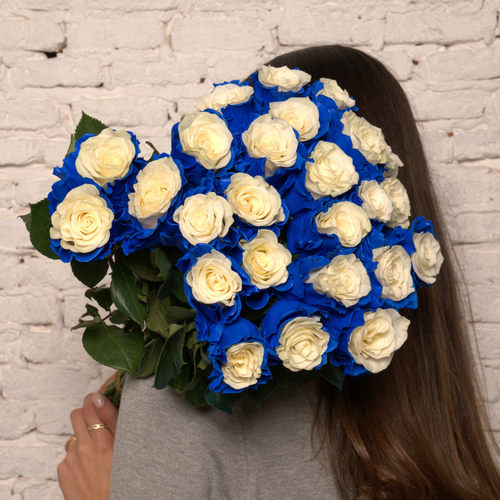 Rosaholics CHELSEA