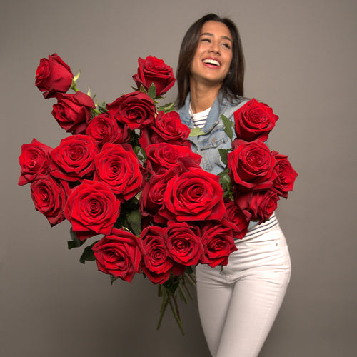 Rosaholics CLASSIC RED