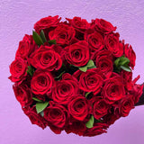 Rosaholics CLASSIC RED, view 4