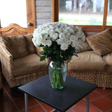 Rosaholics CRYSTAL FROST, view 4