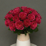 Rosaholics NAKED BLOOM, view 3