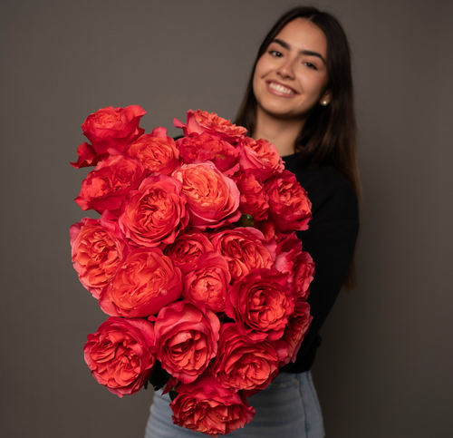 Rosaholics TANGERINE PEONY ROSE