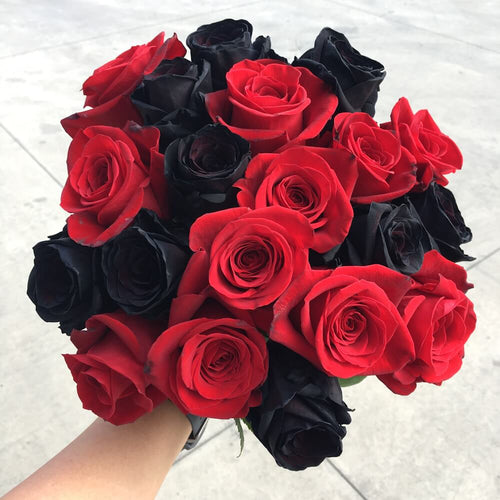 Rosaholics DEEP LOVE
