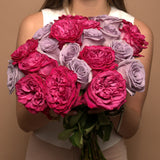 Rosaholics PURPLE EXPLOSION, view 4