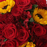 Rosaholics DELIGHT FRESH, view 5