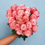 Rosaholics EASY TO LOVE, view 6