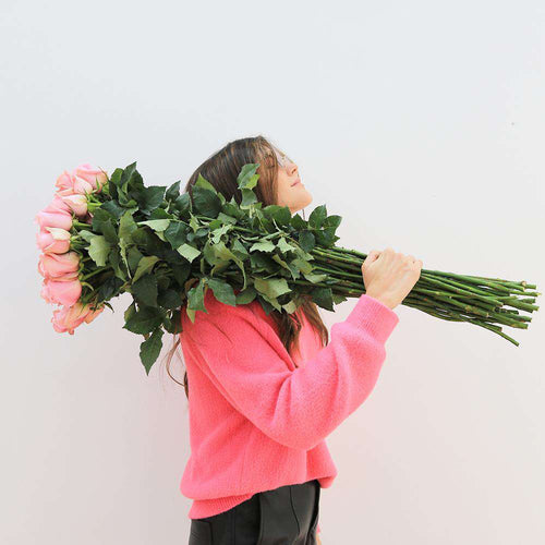 Rosaholics EXTRA LONG STEM ROSES
