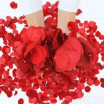 Rosaholics Free Luxury Petals