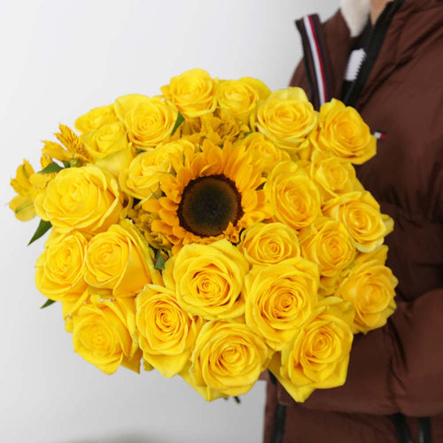 Rosaholics GOLDEN SUN