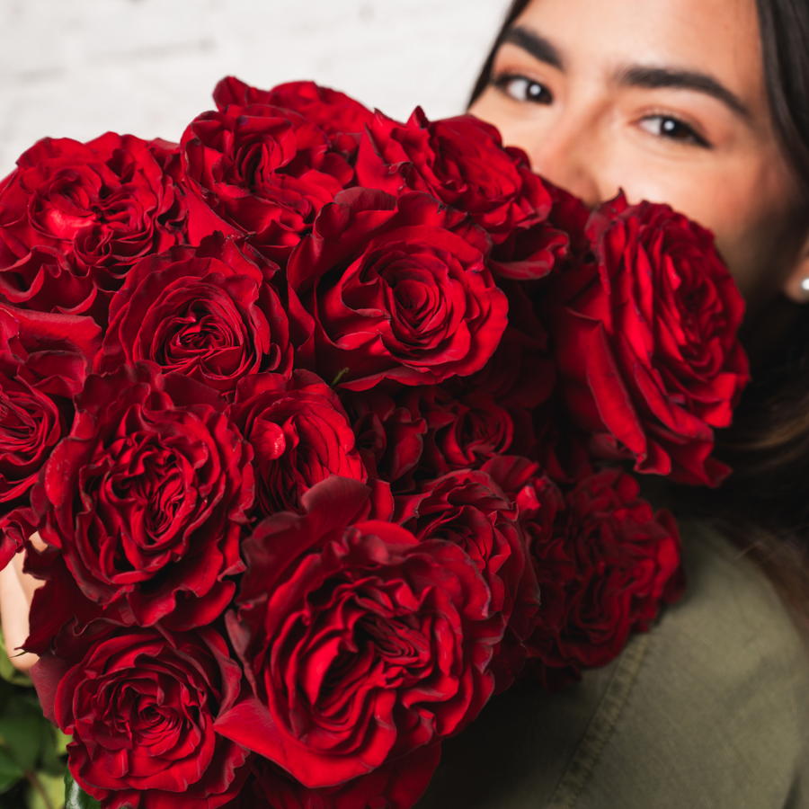 Rosaholics RUFFLED RED