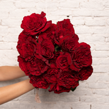 Rosaholics RUFFLED RED, view 3