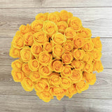 Rosaholics HONEYLIGHT, view 6