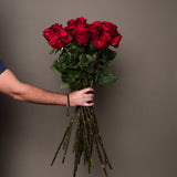 Rosaholics LONG RED ROSES, view 4