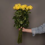 Rosaholics LONG YELLOW ROSES, view 3