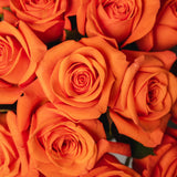 Rosaholics MANGO TANGO, view 2