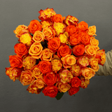 Rosaholics ORANGE EXPLOSION, view 3