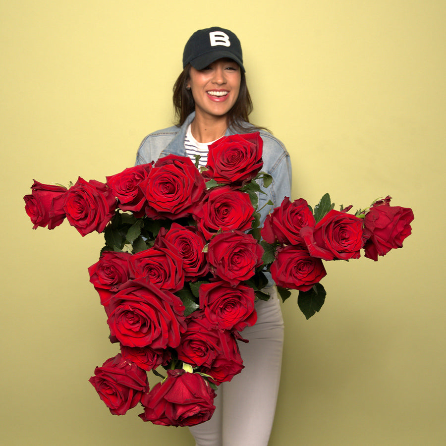 Rosaholics PASSION BLOOM