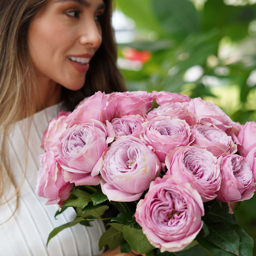Rosaholics VINTAGE PEONY