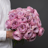 Rosaholics VINTAGE PEONY, view 3