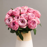 Rosaholics VINTAGE PEONY, view 6