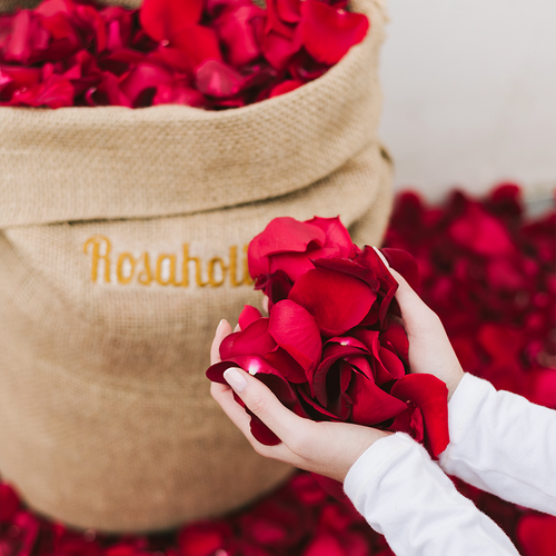Rosaholics REAL & FRESH ROSE PETALS