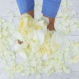 Rosaholics REAL & FRESH ROSE PETALS, view 3