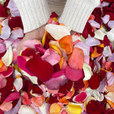 Rosaholics REAL & FRESH ROSE PETALS, view 4