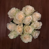 Rosaholics PHANTOM'S GLOW, view 5