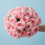 Rosaholics PINK SERENADE, view 5