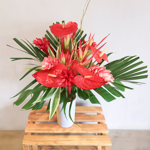 Rosaholics HAWAIIAN LOVE