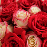Rosaholics PURE PASSION, view 2