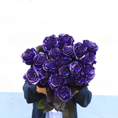 Rosaholics PURPLE STRAVAGANZZA