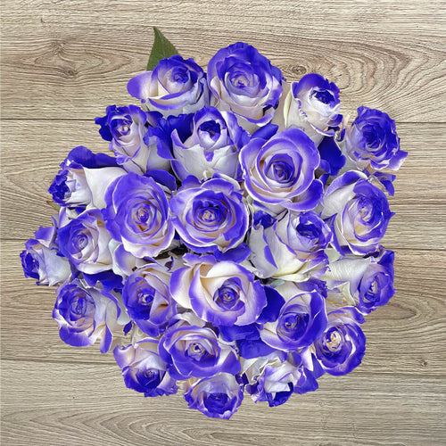 Rosaholics PURPLE VAUGHN
