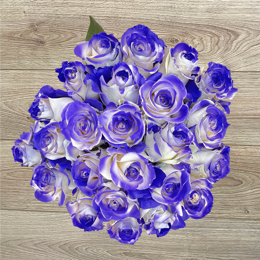 Rosaholics PURPLE VAUGHN
