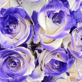 Rosaholics PURPLE VAUGHN, view 2