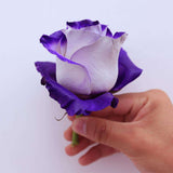 Rosaholics PURPLE VAUGHN, view 6