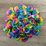 Rosaholics RAINBOW, view 4