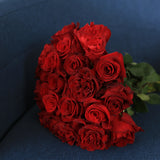 Rosaholics RED EXPLOSION, view 5
