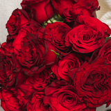Rosaholics RED EXPLOSION, view 6