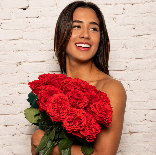 Rosaholics RUBY IMPERIAL