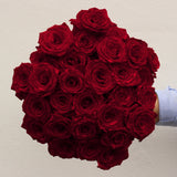 Rosaholics RED PANTHER, view 2