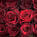 Rosaholics RED PANTHER, view 4