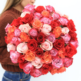 Rosaholics ROMANTIC, view 3