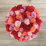 Rosaholics ROMANTIC, view 4