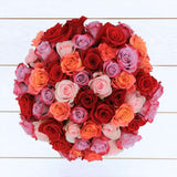 Rosaholics ROMANTIC, view 5