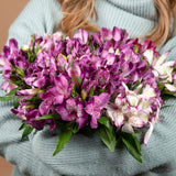 Rosaholics SEMPRE VIOLETTE, view 3