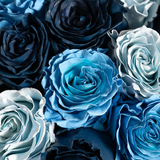 Rosaholics SHADES OF BLUE, view 2